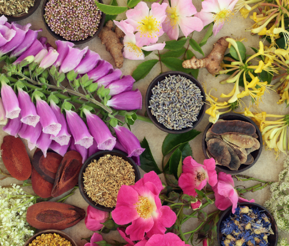 Initial Naturopathic Assessment
